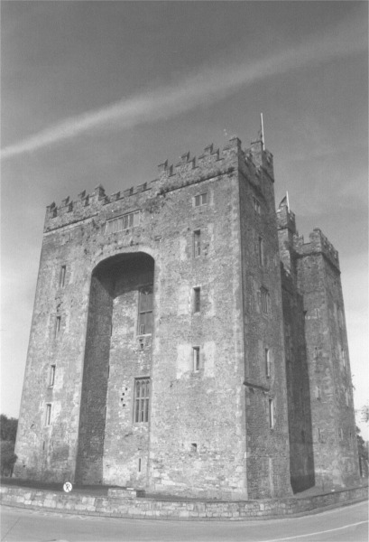 ireland bunratty castle.jpg